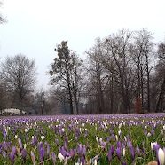 DSC02325