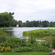 100_0078.JPG